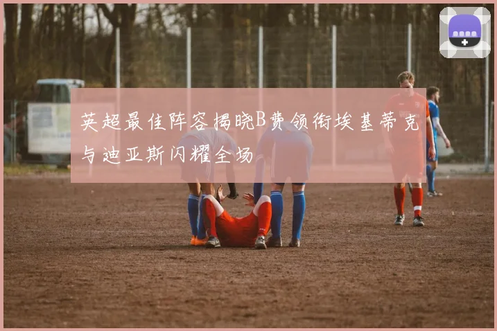 英超最佳阵容揭晓B费领衔埃基蒂克与迪亚斯闪耀全场