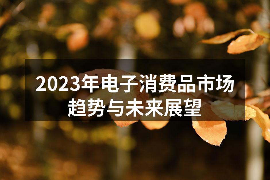 2023年电子消费品市场分析图